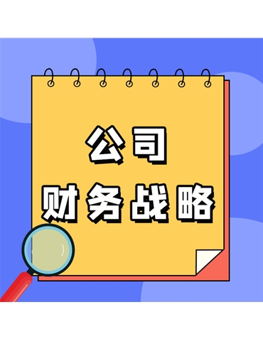 公司財務戰(zhàn)略