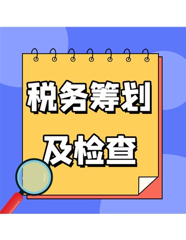 稅務籌劃及檢查